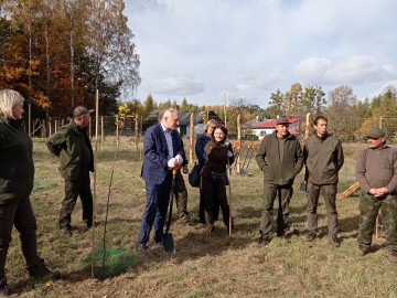 Nowy sad w Tadzinie założony 22.10.2021r. w ramach projektu Owoce pamięci, 